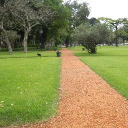 fernandflores1's profile picture. Atrevete..