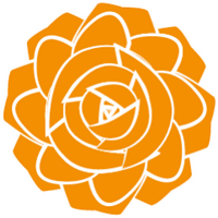 Dutch Rose Media (@dutchrosemedia) 's Twitter Profile