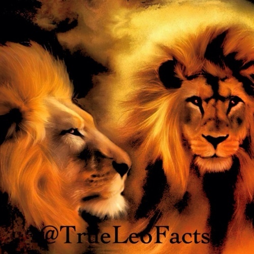 True And Interesting Tweets All About The Leo Women And Men!! + Confident - Ambitious - Generous - Loyal - Encouraging - Warm Hearted