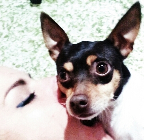 luzzymontez's profile picture. 