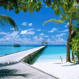 TravelGirl_inc's profile picture. Inbox Travel Girl For all your Travel Needs I can Help with Destination. Weddings, Large Groups.  All inclusive vacations And So Much More .