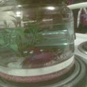 Victor Allen  - @BetaMocha - Twitter