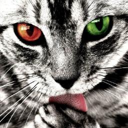 Aimpicking's profile picture. ~''bace bismillah sebelum makang''~ keh keh keh~ -terjun sungai-