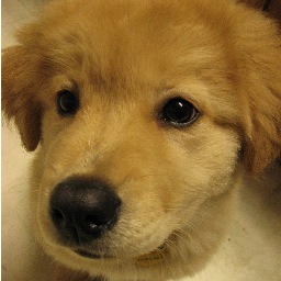 J5Family's profile picture. 