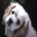 Paula Sheets - @pcsatt - Twitter