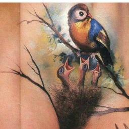 Il topo si fa la passera della topa
e il passero si fa la topa della passera ... sapevatelo!
