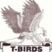 Bruno T-Bird Hockey (@brunotbirds) Twitter profile photo