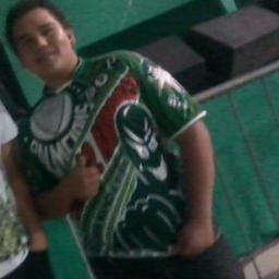 Palmeiras Minha Vida é Você 3