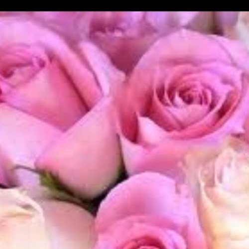 LovelyPeach2's profile picture. 