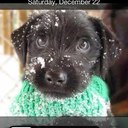 sky white - @___Skinny - Twitter