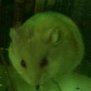 ricky north - @rickynorth1 - Twitter