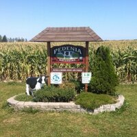 Peter Angst (@pedeniaholstein) Twitter profile photo