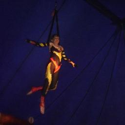ik ben geinteresserd in sport,dieren,enz
werk in het circus van mijn ouderssssssss