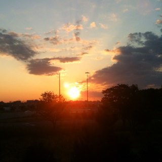 AmberVanC's profile picture. Coolest cat on the block!