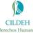 CILDEH's profile image