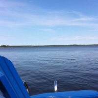 Jane MacMillan (@macmillan_jane) 's Twitter Profile
