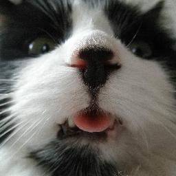 ibtesting2's profile picture. 