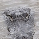 raquel landry - @raqtweets - Twitter