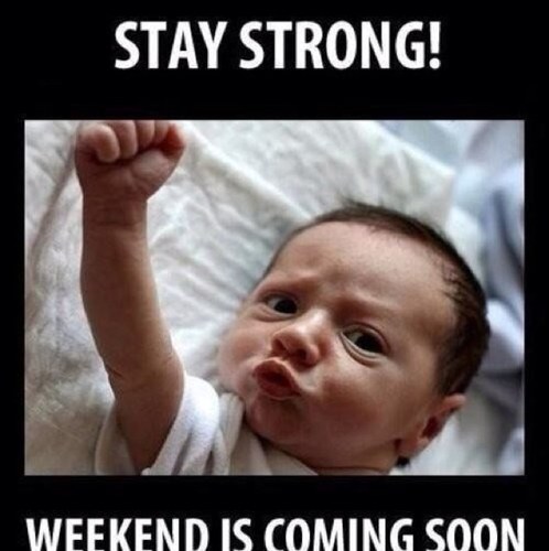 TRXLLAZ's profile picture. 16 and i rap