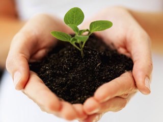 DOpgewekt's profile picture. Energie duurzaam opwekken en afgeven