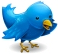 Twitter Worldwide Users Group ♥♥♥ http://t.co/9HTPLzrToU