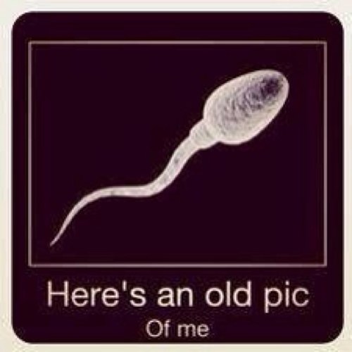 creepcreep0's profile picture.