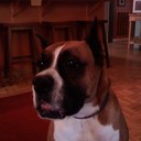 Ben breedlove - @BBreedlove7 - Twitter