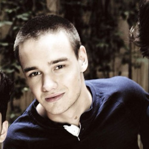 kate_payne_1d's profile picture. Hey im a true directioner!! I will always love those five boys no matter what.