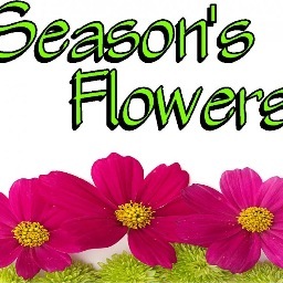 We are family owned and operated. We are committed to offering only the finest florals and gifts, backed by friendly service