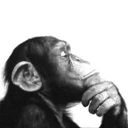 Il talento è la capacità di imparare. Il genio è la capacità di evolversi. (Arnold Schoenberg)