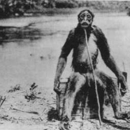 missinglink_13's profile picture. Not quite human