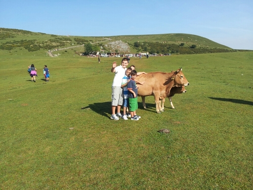 carlitosalcaina's profile picture. 