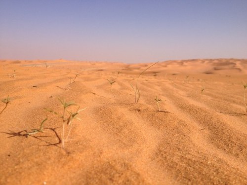 طالب في المرحله الثانوية
