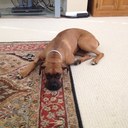 Caitlin Bartley - @craycraits - Twitter