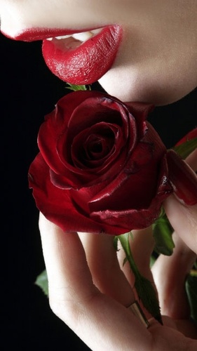 u can see me as ur favorit song,i hat lie i'm clear & so strang ,i likelove story but i hat some end,when you need me u find me more than close friend,