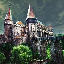 katioda's profile picture. 