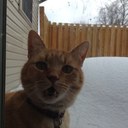 Sharon Sawicki - @Keno119 - Twitter