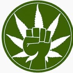 love to sit back and toke
