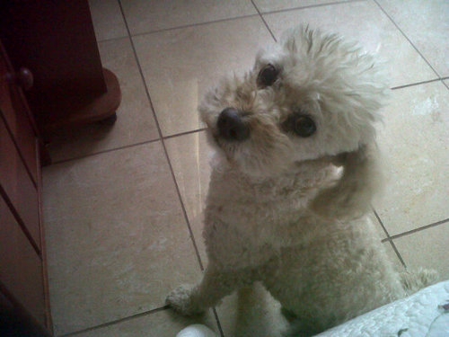 karo171's profile picture. 