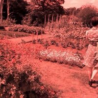 Ruth Peaker (sign name 👃👌) (@rj_peaks) 's Twitter Profile