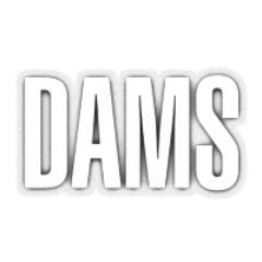 D
A
M
S