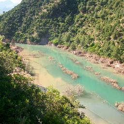 inmatec83's profile picture. 