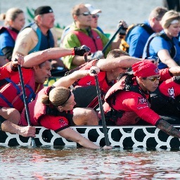 Midwest Community Dragon Boat Festival