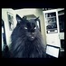 Insidious Art Mgmt (@insidiousartmgr) Twitter profile photo Insidious Art Mgmt (@insidiousartmgr) Twitter profile photo