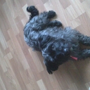 Aaron Irwin - @airwin553 - Twitter