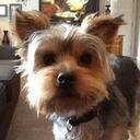 Gary Arnold - @skippy5501 - Twitter