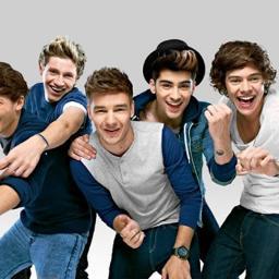 Little Mix-Perrie,Jade,Jesy and Leigh-Anne 
One Direction-Liam,Harry,Zayn,Niall and Louis