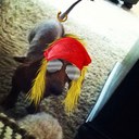 Luke Pace - @lep234 - Twitter