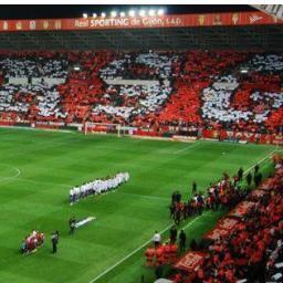 antonioyvisi's profile picture. 