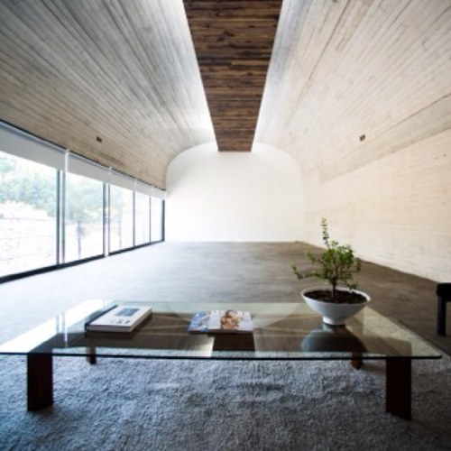 teystudio's profile picture. 